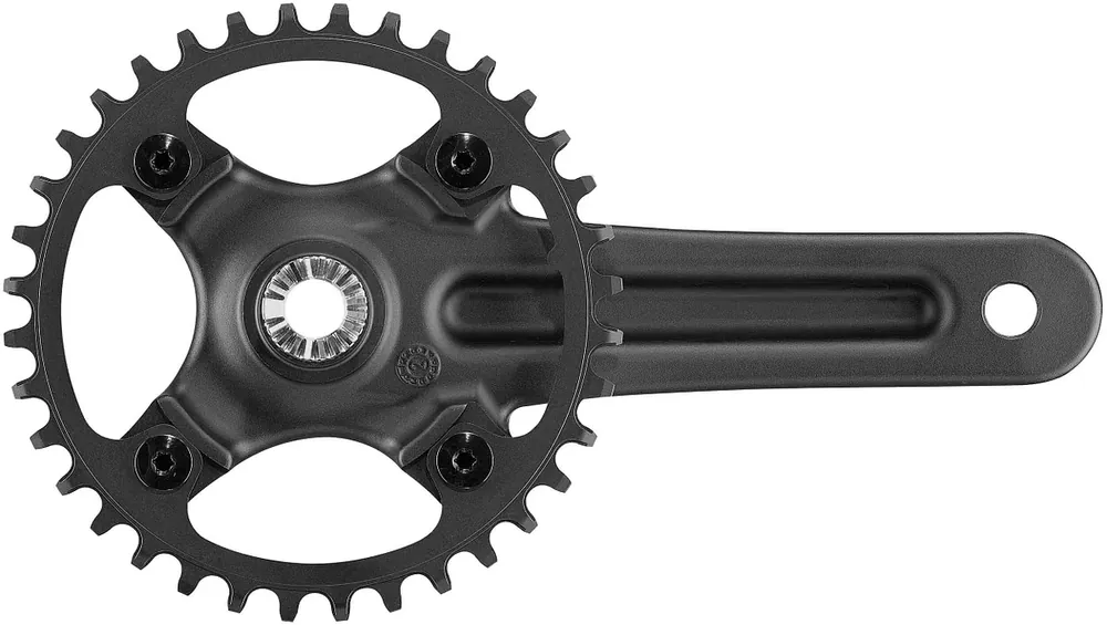 Campagnolo Kettenradgarnitur Ekar GT 13s 36 Zähne 170 mm schwarz Beliebt