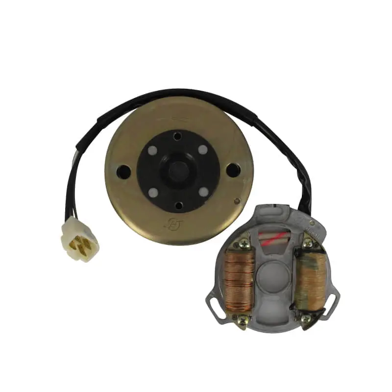 Heißes Angebot Eppella Eppelino 50 Lichtmaschine 50ccm 4Takt D1E41FM-D-07.2-00 mit Polrad Stator Ankerplatte Anker-Platte Stromerzeuger Licht-Maschine
