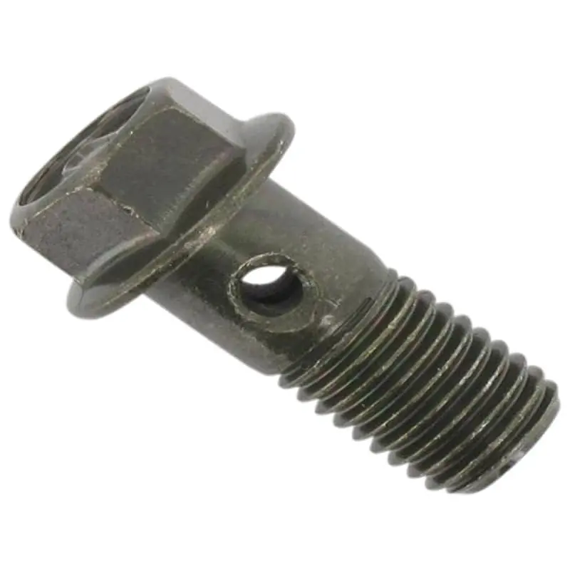 Hohlschraube M10x1.25x22mm verzinkt ECM Scooter Roller 79246 Hohl-Schraube Bremsleitungsschraube Bremsleitungs-Schraube 139QMB Moped Echt