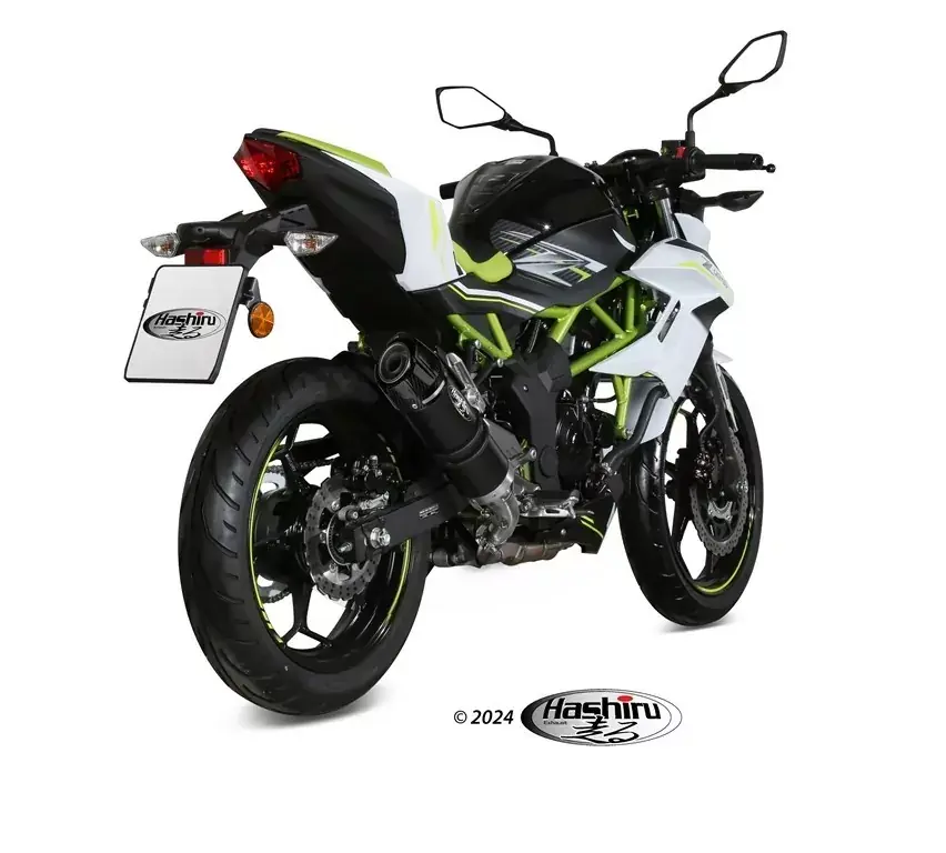 Versand Am Gleichen Tag HASHIRU GP Edelstahl Auspuff passend für Kawasaki Ninja 125 19-24