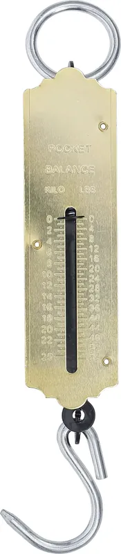 Taschenfederwaage bis 25 kg Nur Heute