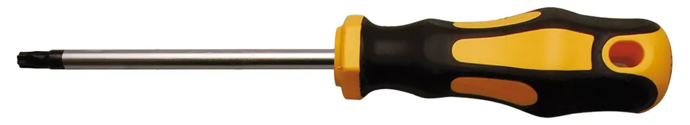 Sichere Zahlung BGS Schraubendreher T30 T-Profil (für Torx) – Klingenlänge 100 mm
