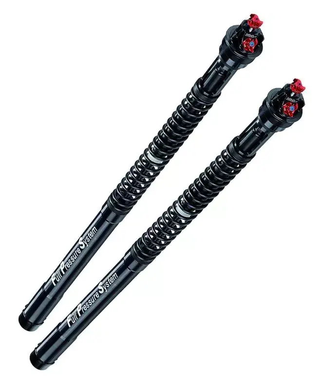 Finale Aktion BITUBO Gabeldämpfer-Kit passend für BMW S1000RR 2R99 2019