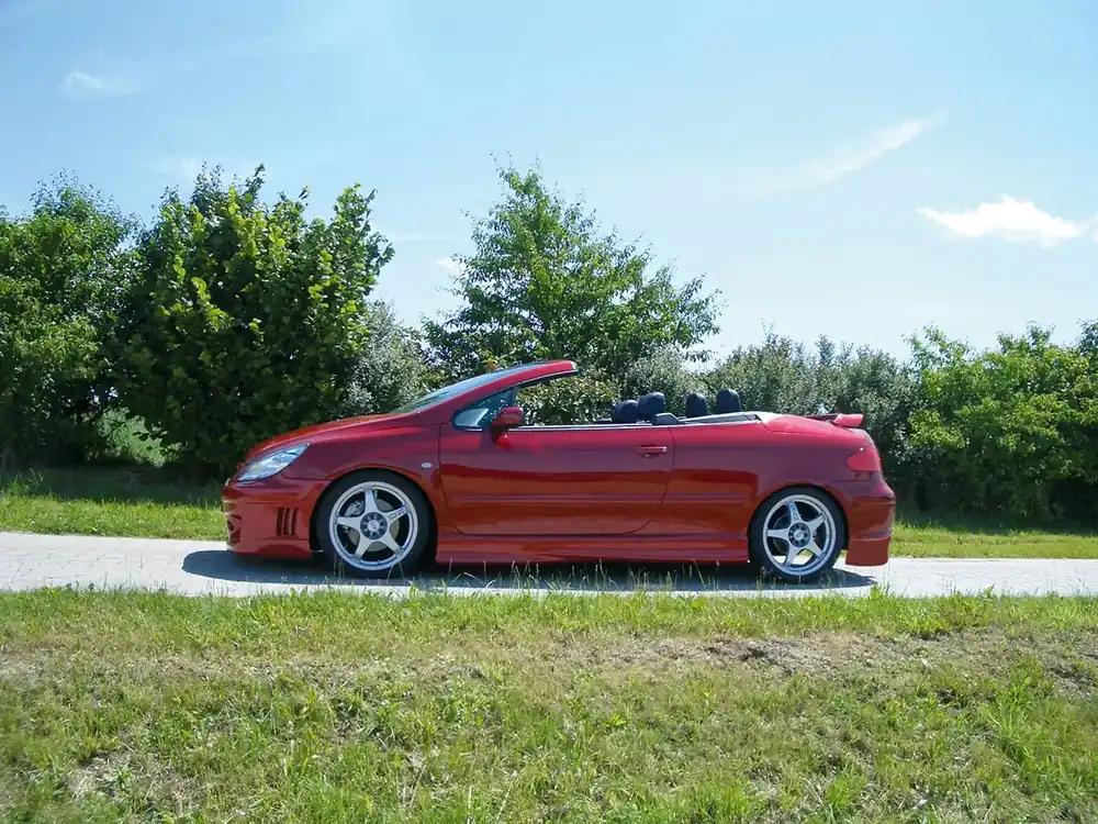 Rieger Seitenschweller rechts passend für Peugeot 307 Lim. Facelift Günstig