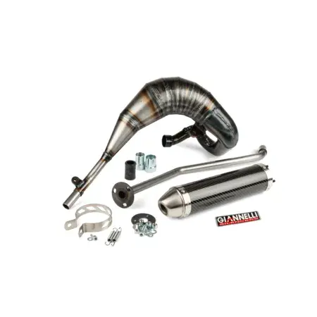 Auspuff mit ESD carbon Giannelli Generic Trigger Solange Der Vorrat Reicht