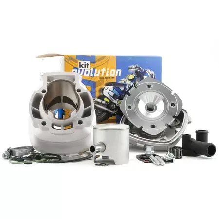 Zylinder Polini Evolution III 70cc Piaggio NRG / Runner Zertifiziert