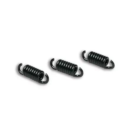 Kupplungsfedern Malossi Delta Clutch Runner 125-180 schwarz Jetzt Bestellen