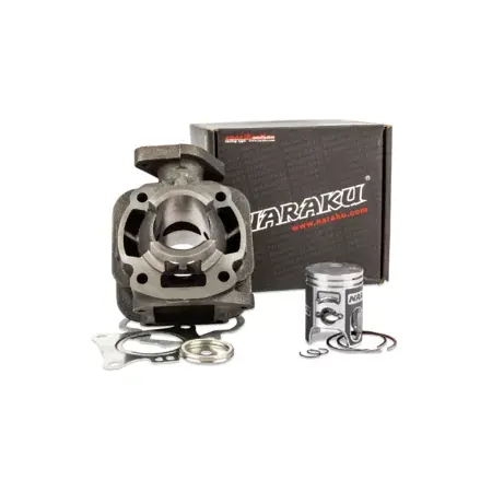 Direktkauf Zylinder Kit Naraku Performance Standard 50cc, Kymco Heroism / MXU