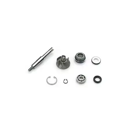 Neu Wasserpumpen Reparaturkit Top Performances Honda SH i / Pantheon 125cc