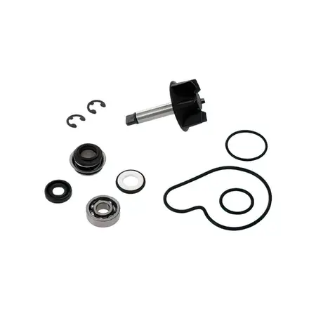 Wasserpumpen Reparaturkit Top Performances Suzuki Burgman 125cc UH Aktuell