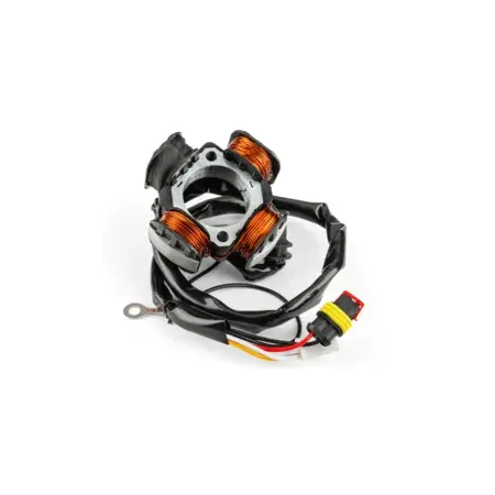 Stator Lichtmaschine Motoforce Hidria Beta RR 2005 - 2012 Knallerangebot